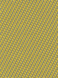 0105 Grey Canary