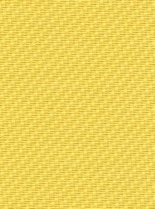 0505 Canary
